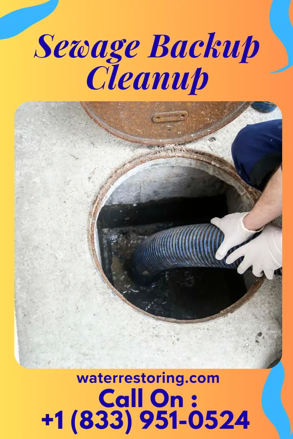 Sewage Backup Cleanup in Wesleyville, PA